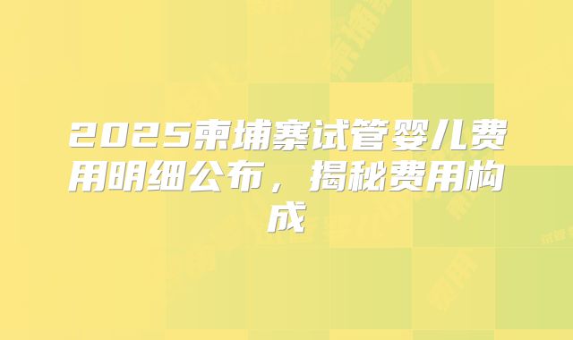 2025柬埔寨试管婴儿费用明细公布,揭秘费用构成