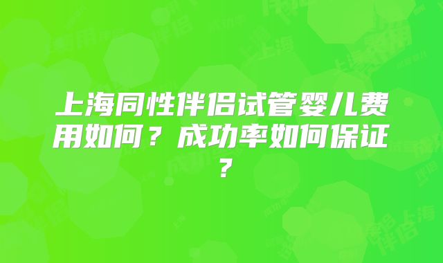 上海同性伴侣试管婴儿费用如何？成功率如何保证？