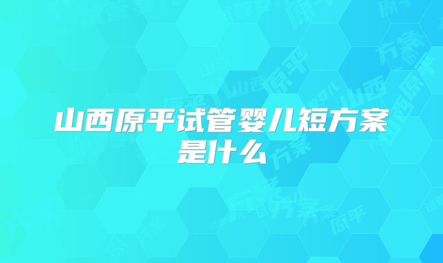 山西原平试管婴儿短方案是什么