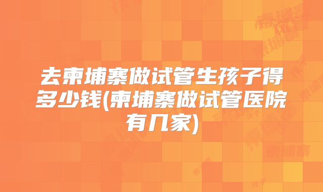 去柬埔寨做试管生孩子得多少钱(柬埔寨做试管医院有几家)