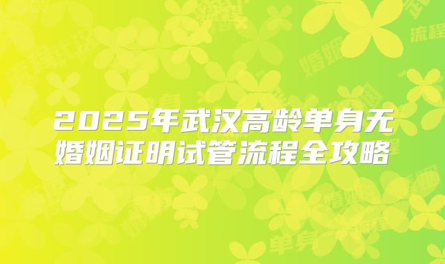 2025年武汉高龄单身无婚姻证明试管流程全攻略