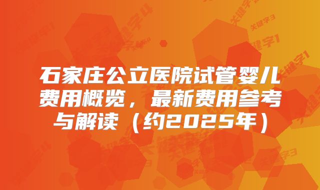 石家庄公立医院试管婴儿费用概览,最新费用参考与解读(约2025年)