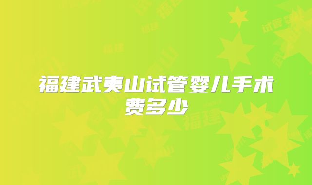 福建武夷山试管婴儿手术费多少