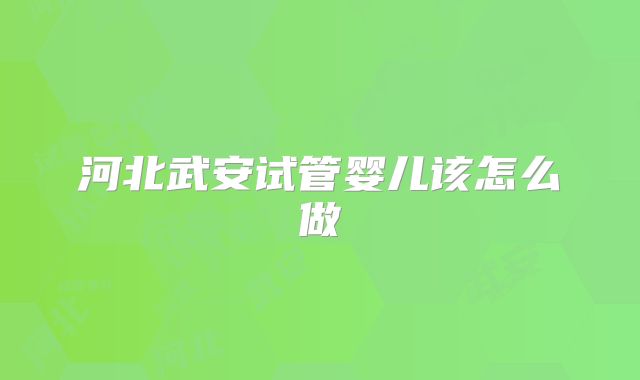 河北武安试管婴儿该怎么做