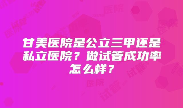 甘美医院是公立三甲还是私立医院？做试管成功率怎么样？