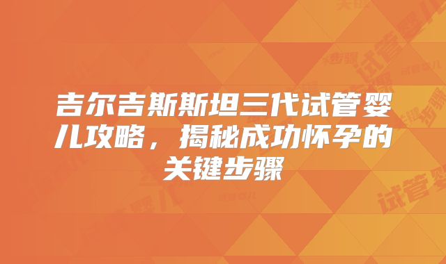 吉尔吉斯斯坦三代试管婴儿攻略,揭秘成功怀孕的关键步骤