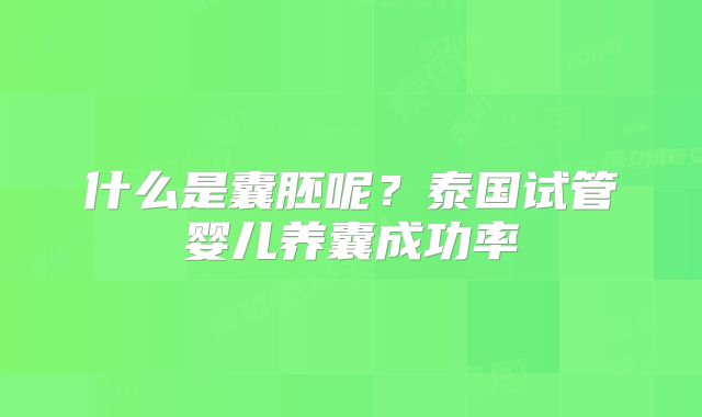 什么是囊胚呢？泰国试管婴儿养囊成功率