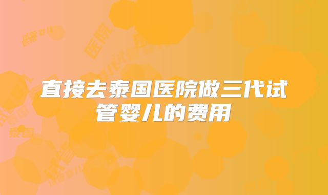 直接去泰国医院做三代试管婴儿的费用