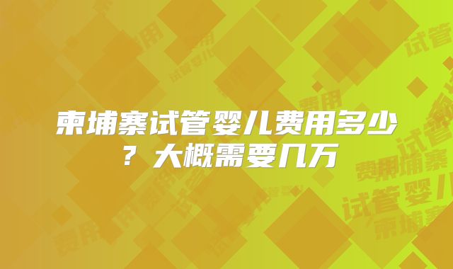 柬埔寨试管婴儿费用多少？大概需要几万
