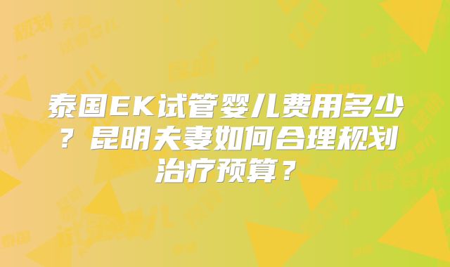 泰国EK试管婴儿费用多少?昆明夫妻如何合理规划治疗预算?
