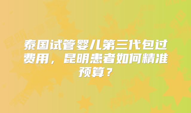 泰国试管婴儿第三代包过费用,昆明患者如何精准预算?