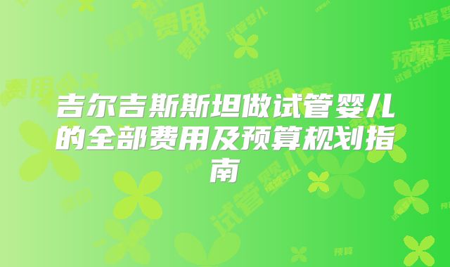 吉尔吉斯斯坦做试管婴儿的全部费用及预算规划指南