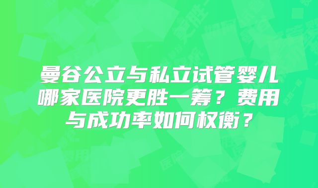 曼谷公立与私立试管婴儿哪家医院更胜一筹?费用与成功率如何权衡?