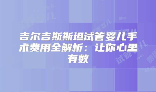 吉尔吉斯斯坦试管婴儿手术费用全解析：让你心里有数