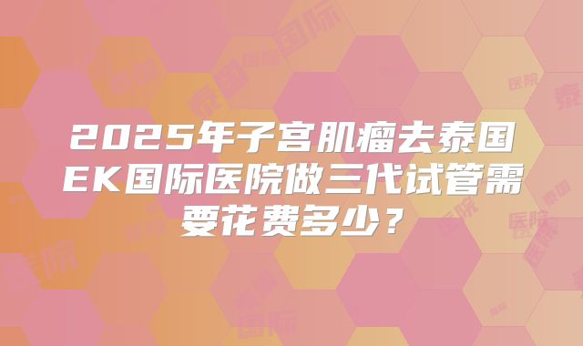 2025年子宫肌瘤去泰国EK国际医院做三代试管需要花费多少?