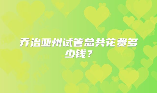 乔治亚州试管总共花费多少钱？