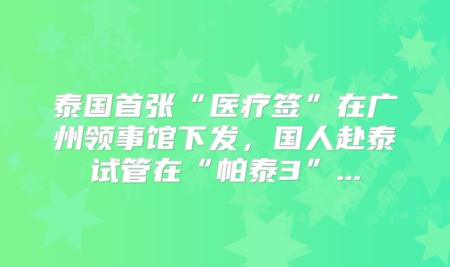 泰国首张“医疗签”在广州领事馆下发,国人赴泰试管在“帕泰3”...