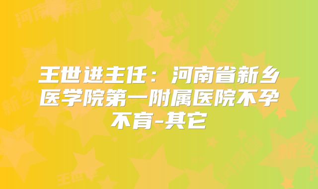 王世进主任：河南省新乡医学院第一附属医院不孕不育-其它