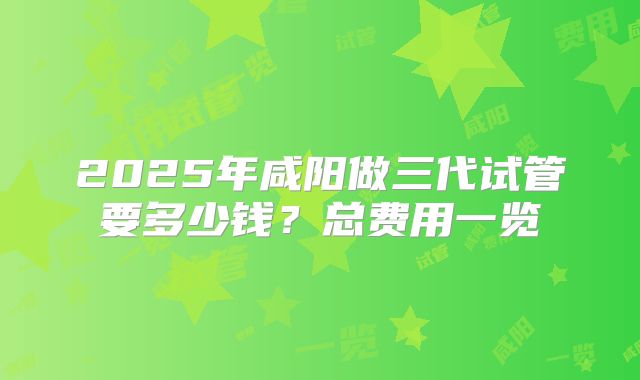2025年咸阳做三代试管要多少钱？总费用一览