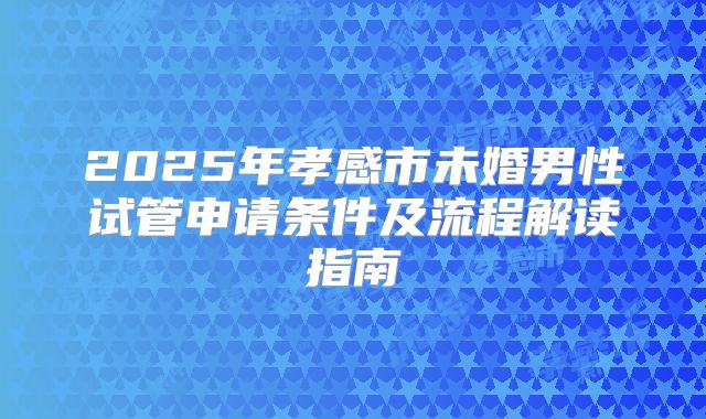 2025年孝感市未婚男性试管申请条件及流程解读指南