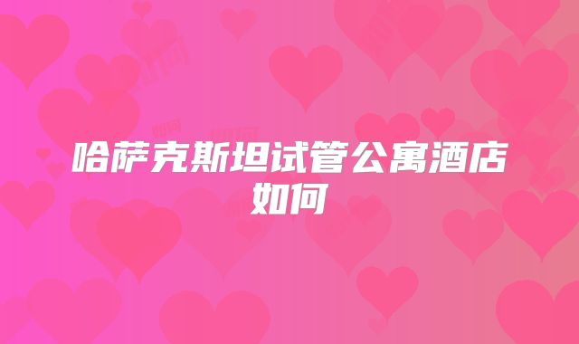 哈萨克斯坦试管公寓酒店如何