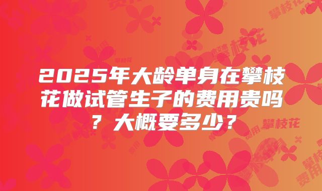 2025年大龄单身在攀枝花做试管生子的费用贵吗?大概要多少?