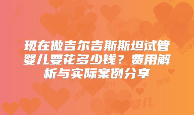 现在做吉尔吉斯斯坦试管婴儿要花多少钱?费用解析与实际案例分享