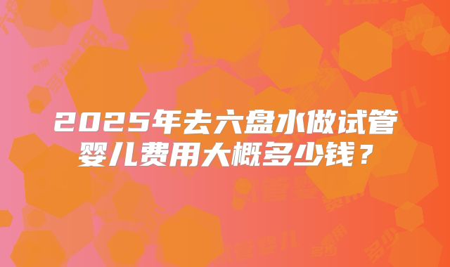 2025年去六盘水做试管婴儿费用大概多少钱?