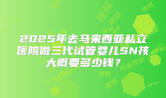 2025年去马来西亚私立医院做三代试管婴儿SN孩大概要多少钱?