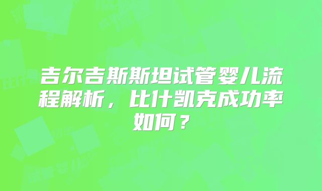 吉尔吉斯斯坦试管婴儿流程解析，比什凯克成功率如何？