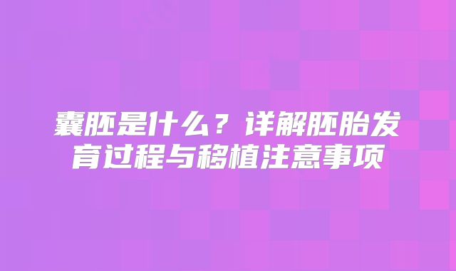 囊胚是什么?详解胚胎发育过程与移植注意事项