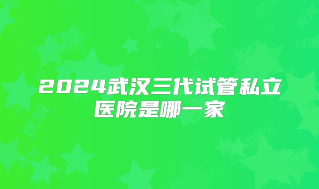 2024武汉三代试管私立医院是哪一家