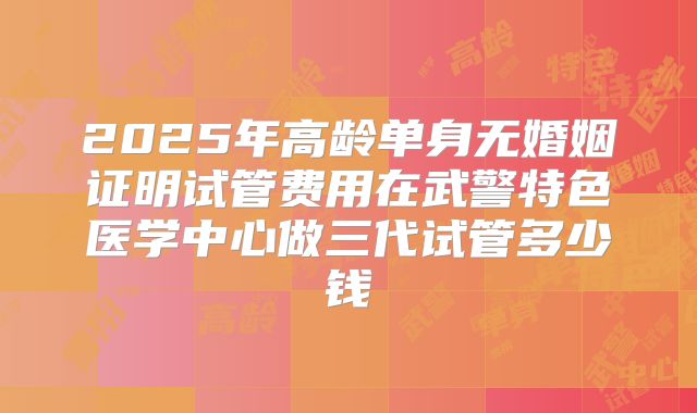 2025年高龄单身无婚姻证明试管费用在武警特色医学中心做三代试管多少钱
