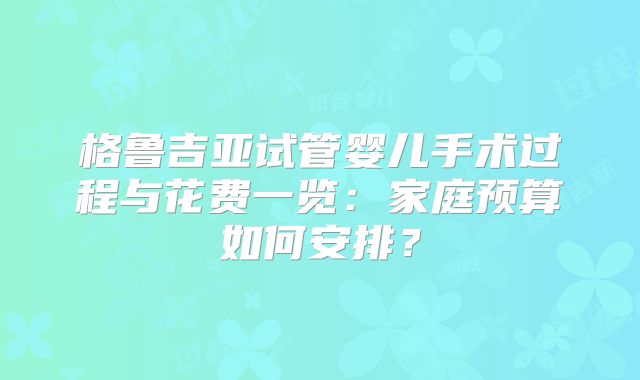格鲁吉亚试管婴儿手术过程与花费一览：家庭预算如何安排？
