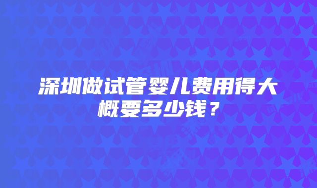 深圳做试管婴儿费用得大概要多少钱？