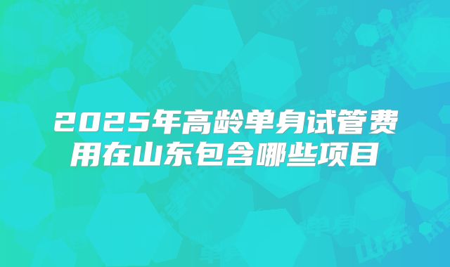 2025年高龄单身试管费用在山东包含哪些项目