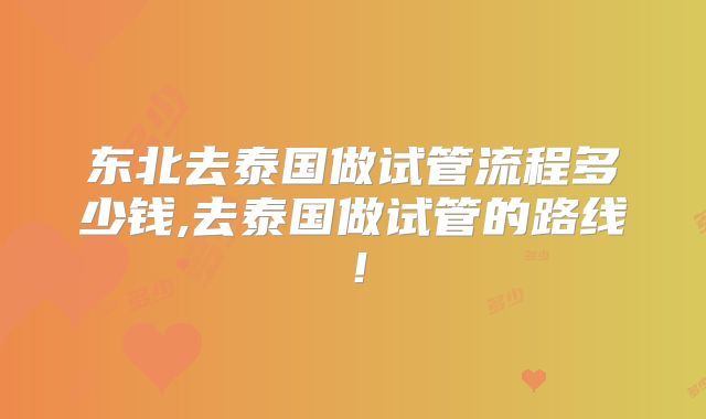 东北去泰国做试管流程多少钱,去泰国做试管的路线！