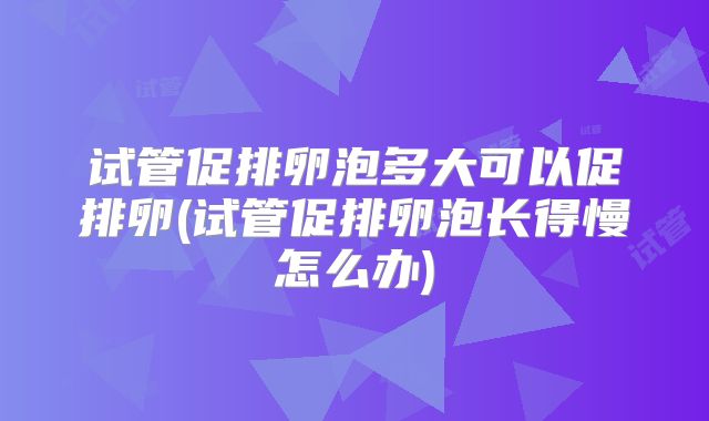 试管促排卵泡多大可以促排卵(试管促排卵泡长得慢怎么办)