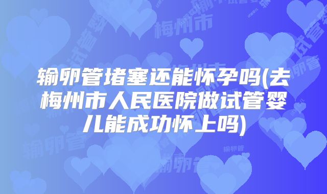 输卵管堵塞还能怀孕吗(去梅州市人民医院做试管婴儿能成功怀上吗)