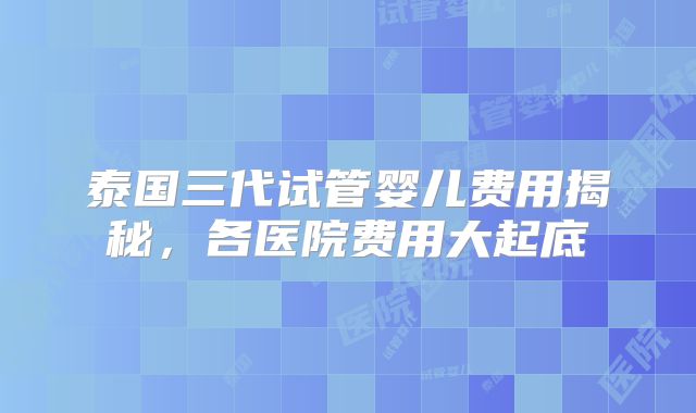 泰国三代试管婴儿费用揭秘，各医院费用大起底