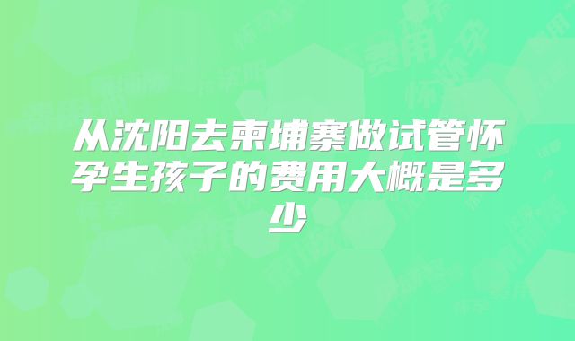 从沈阳去柬埔寨做试管怀孕生孩子的费用大概是多少