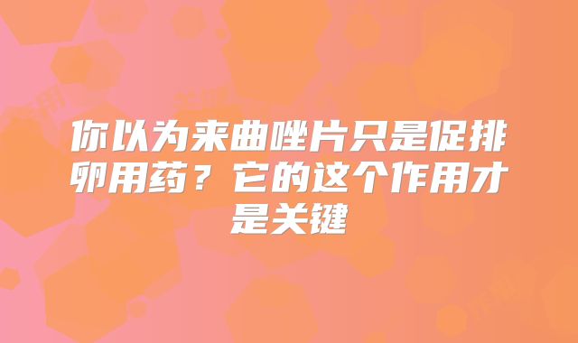 你以为来曲唑片只是促排卵用药？它的这个作用才是关键