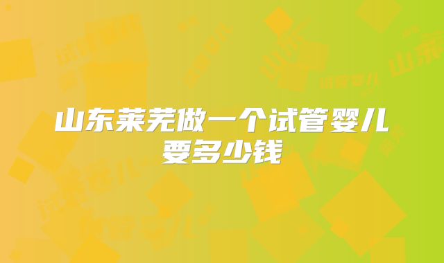 山东莱芜做一个试管婴儿要多少钱