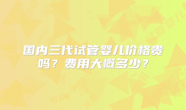 国内三代试管婴儿价格贵吗？费用大概多少？