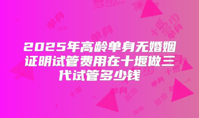 2025年高龄单身无婚姻证明试管费用在十堰做三代试管多少钱