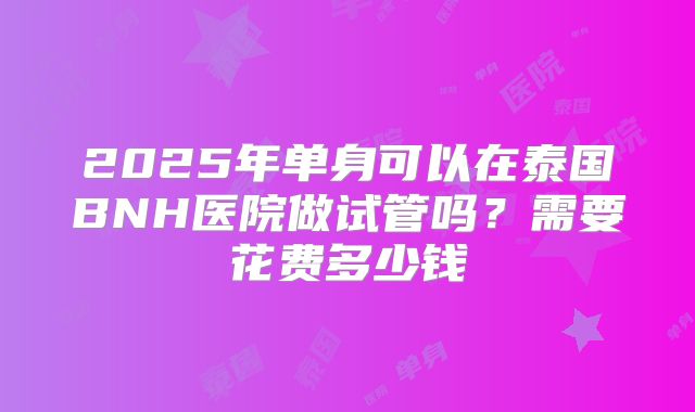 2025年单身可以在泰国BNH医院做试管吗？需要花费多少钱
