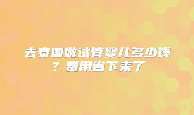 去泰国做试管婴儿多少钱？费用省下来了