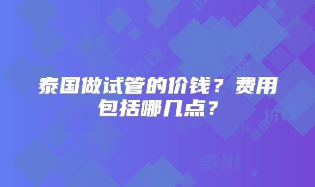 泰国做试管的价钱？费用包括哪几点？