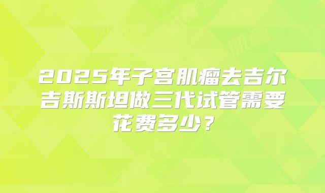 2025年子宫肌瘤去吉尔吉斯斯坦做三代试管需要花费多少？
