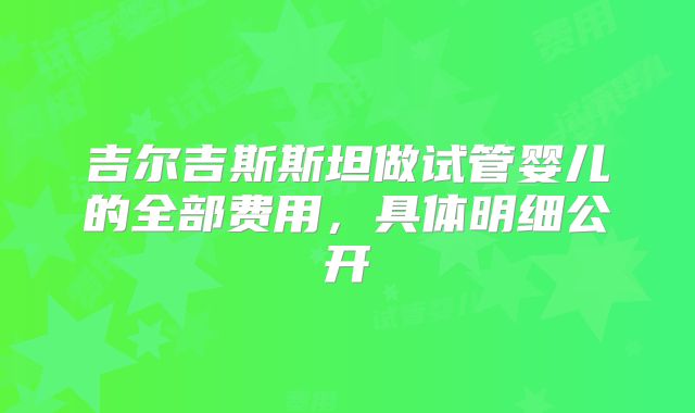 吉尔吉斯斯坦做试管婴儿的全部费用,具体明细公开